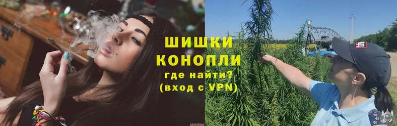 Конопля White Widow  где купить наркотик  Качканар 